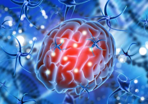 intr-Advanced Neuronavigation Software